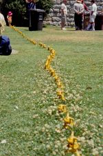 Yellow Tide 2002 by Benedict Ernst